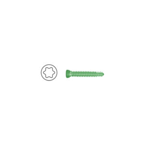 33020 • Kangli Orthopedics