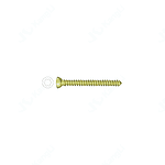 HA3.5 Metal Bone Fracture Screw (Anodized) • Kangli Orthopedics HA3.5 Metal Bone Fracture Screw (Anodized)