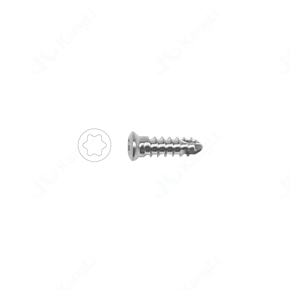 2.5 Metal Bone Fracture Screw (Torx Type) • Kangli Orthopedics 2.5 Metal Bone Fracture Screw (Torx Type)