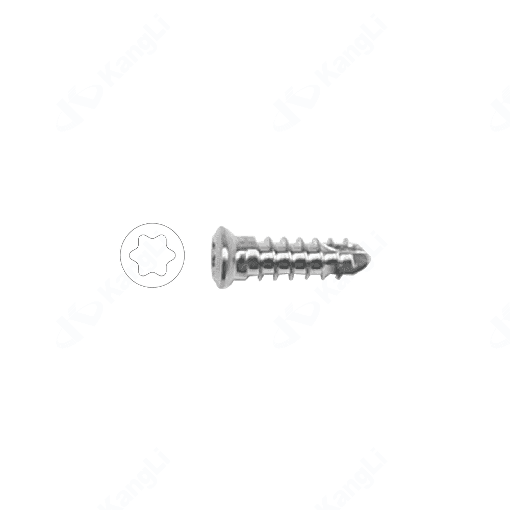 2.7 Metal Bone Fracture Screw (Torx Type) • Kangli Orthopedics 2.7 Metal Bone Fracture Screw (Torx Type)